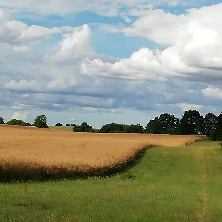 Am Froschteich Apartment