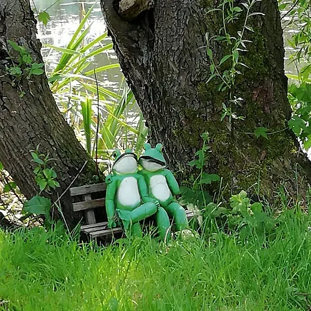Am Froschteich Dolgen