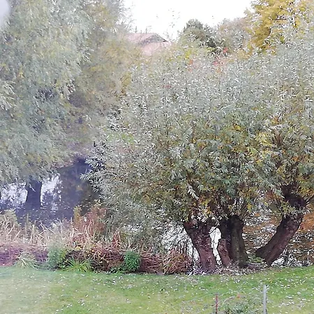 Apartamento Am Froschteich